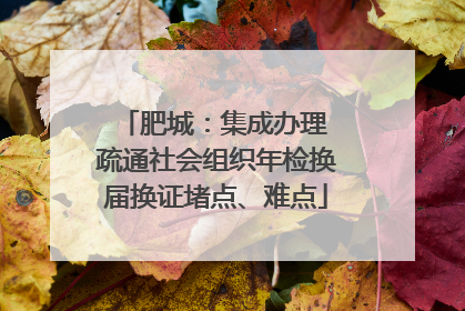 肥城：集成办理 疏通社会组织年检换届换证堵点、难点